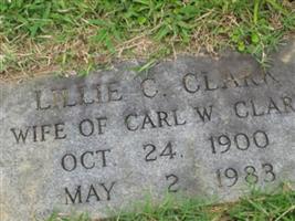 Lillie Mae Carver Clark