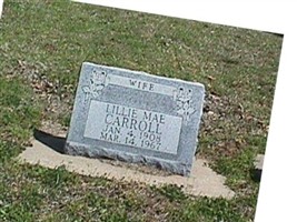 Lillie Mae Kirk Carroll Lillie Mae Kirk Carroll