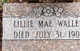 Lillie Mae Wallen