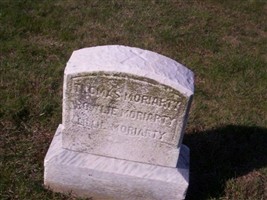 Lillie Moriarty Lillie Moriarty