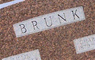 Lillie Rosetta Willcoxin Brunk