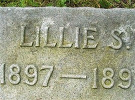 Lillie S Anderson