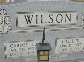 Lillie Williams Wilson