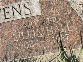Lillis Hall Stevens Lillis Hall Stevens