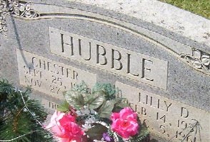 Lilly Darlene Buis Hubble Lilly Darlene Buis Hubble