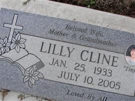 Lilly Fay Miller Cline