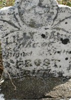 Lilly J. Frost Lilly J. Frost