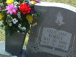 Lilly Jane Martin Kimsey Lilly Jane Martin Kimsey