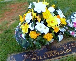 Lilly Mae Roe Williamson Lilly Mae Roe Williamson