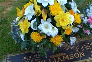 Lilly Mae Roe Williamson Lilly Mae Roe Williamson