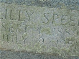 Lilly Speed