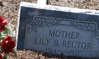Lily B Rector