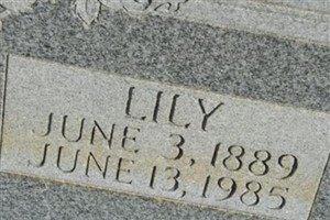 Lily Capshaw