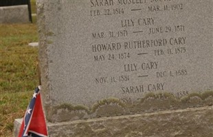 Lily Cary Lily Cary