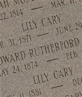 Lily Cary Lily Cary