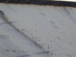 Lily Dyer