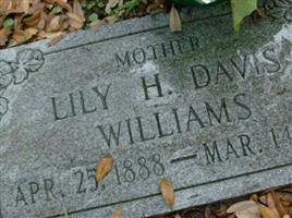 Lily H Davis Williams