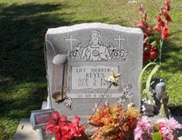 Lily Herrera Reyes