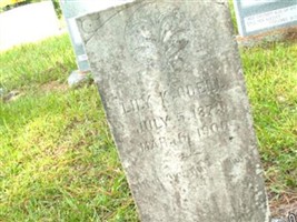 Lily K. Odell Lily K. Odell