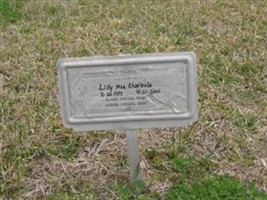 Lily Mae Charbula Lily Mae Charbula
