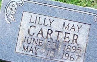 Lily May Carter Lily May Carter