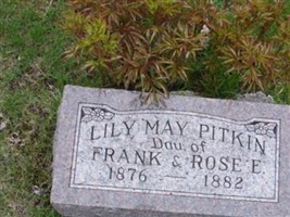 Lily May Pitkin