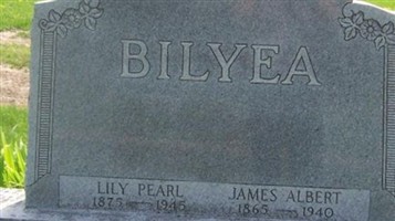 Lily Pearl Bilyea Lily Pearl Bilyea