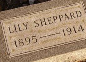 Lily Shappard