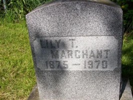 Lily T Marchant