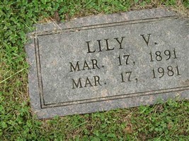 Lily V Bosley Lily V Bosley