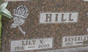 Lily V Hill Lily V Hill