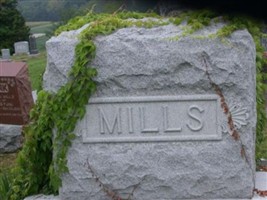 Lily V Mills Lily V Mills