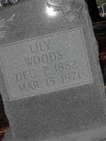 Lily Woods Lily Woods