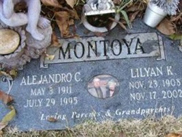 Lilyan K. Montoya Lilyan K. Montoya