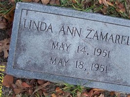 Linda Ann Zamarelli Linda Ann Zamarelli