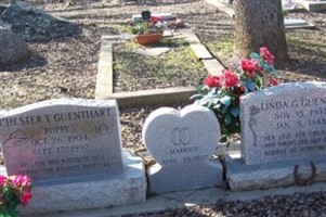 Linda G Guenthart