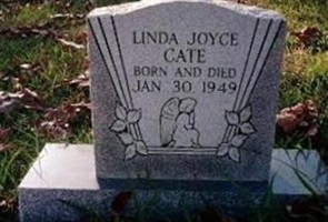 Linda Joyce Cate Linda Joyce Cate