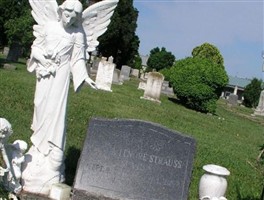 Linda Lenore Strauss Blasius Linda Lenore Strauss Blasius