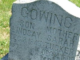 Lindsay Gowing
