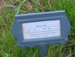 Linnie Lawson Lingo Linnie Lawson Lingo