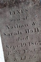 Linus Hall