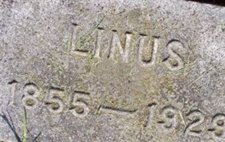 Linus McCowan