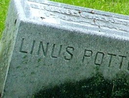 Linus Potter