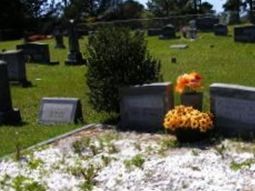 Linville N. "Ned" McLaurin