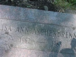 Lisa Ann Aschenbrenner