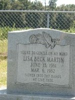 Lisa Beck Martin Lisa Beck Martin