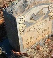 Lisa Carol Lang