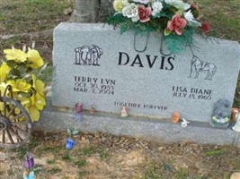 Lisa Diane Davis Lisa Diane Davis