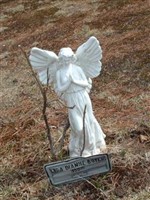 Lisa Dianne Boyer