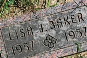 Lisa J. Baker